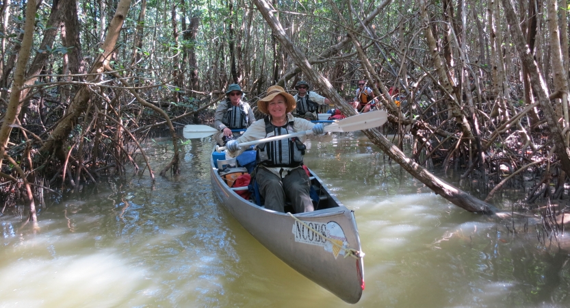 people paddle canoes through trees on an outward bound veterans course